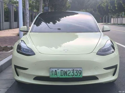 2021 Tesla Model 3 Standard Range Rear-Wheel Drive Upgrade 3D6, фото 3, лот 10362868