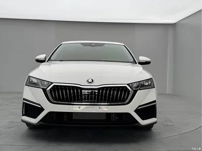 2021 Škoda Octavia PRO TSI280 DSG Premium Edition, фото 2, лот 10348303