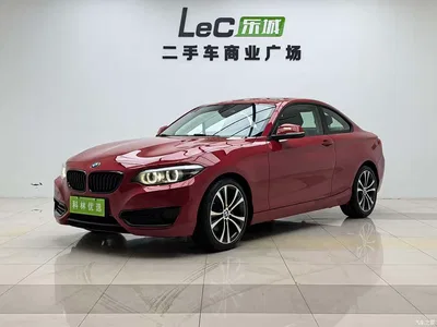 2019 BMW 2 Series (Import) 225i Sport Design Package, фото 1, лот 10471237