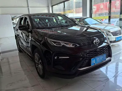 2020 Toyota Wildlander 2.0L CVT AWD Premium Edition, фото 3, лот 11174588