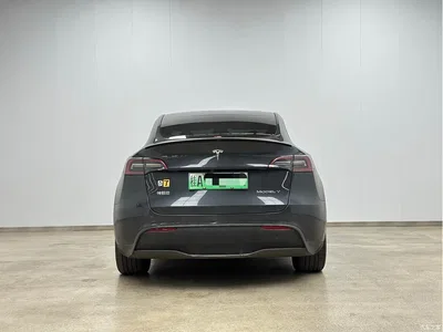 2024 Tesla Model Y Rear-Wheel Drive Version, фото 3, лот 10395663