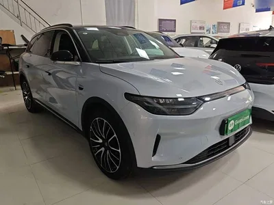2021 Leapmotor C11 Luxury Edition, фото 4, лот 10385698