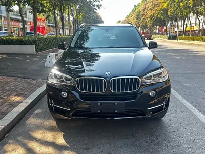 2017 BMW X5 (Import) xDrive28i, фото 2, лот 11582627