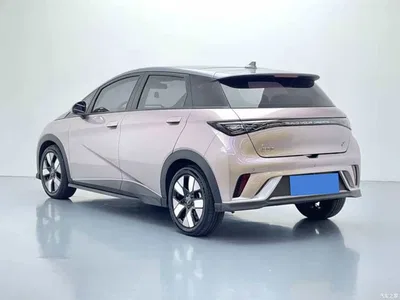 2021 BYD Dolphin 401km Knight Edition, фото 4, лот 10252605