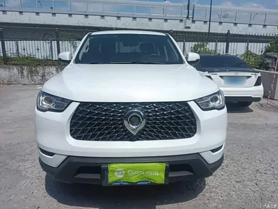 2021 Great Wall Pao 2.0T Commercial Edition Automatic Gasoline 2WD Elite Long Box GW4C20B, фото 3, лот 10672168