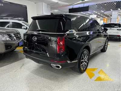 2022 GAC Trumpchi Trumpchi GS8 Pilot Series 2.0TGDI 2WD Luxury Smart Connect Edition (7-Seater), фото 4, лот 10419018