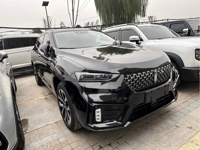 2020 WEY VV7 Model 2.0T Flagship, фото 3, лот 10452019