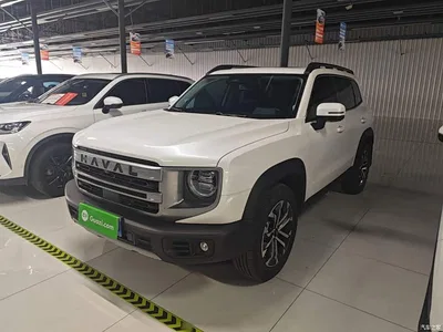 2024 Haval Big Dog 1.5T DCT Border Collie Edition, фото 2, лот 10361499