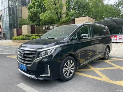 2020 GAC Trumpchi Trumpchi M8 Pilot 390T Prestige Edition, фото 1, лот 10417926