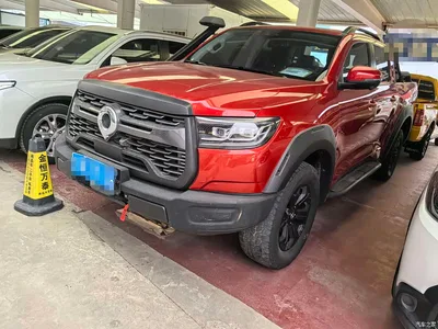2020 Great Wall Pao 2.0T Off-Road Auto Gasoline 4WD Premium Edition GW4C20B, фото 1, лот 10245872