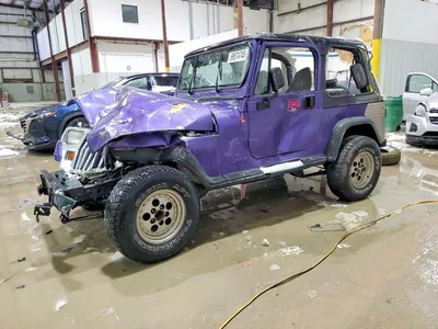 1995 JEEP WRANGLER / YJ S/RIO GRANDE, фото 1, лот 10968886