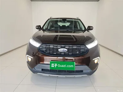 2020 Ford Territory S EcoBoost 145 CVT Platinum, фото 3, лот 10283951