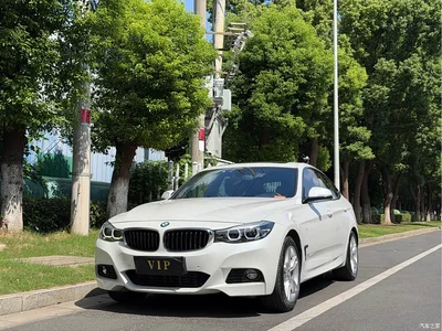 2020 BMW 3 Series GT 320i M Sport Package, фото 3, лот 10473258