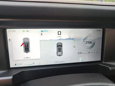 2023 Jetour Traveler Model 2.0T 4WD Cross PRO, фото 4, лот 10764092