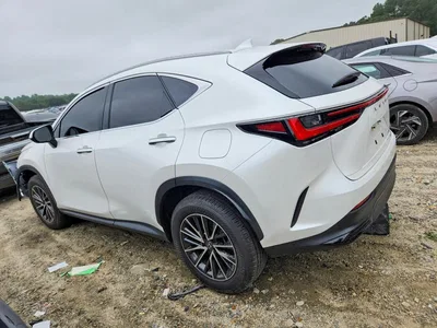2024 LEXUS NX 350 BASE, фото 2, лот 10904461