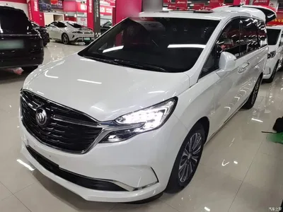 2021 Buick GL8 ES Landlord 653T Flagship, фото 1, лот 10258773