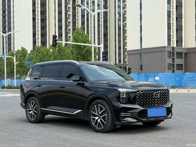 2022 GAC Trumpchi Trumpchi GS8 Pilot Series 2.0TGDI 2WD Luxury Smart Connect Edition (7-Seater), фото 3, лот 11193540