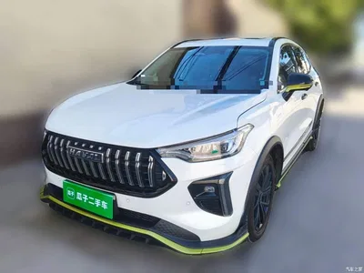 2021 Haval Chitu Boost Edition 1.5T Platinum Rabbit, фото 2, лот 11569618