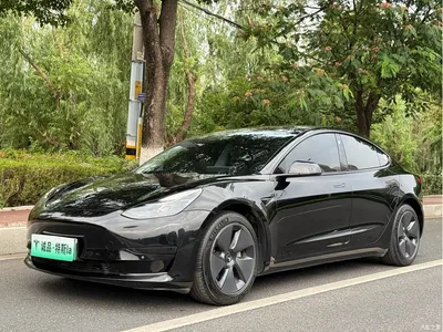 2022 Tesla Model 3 Model Rear-Wheel Drive Version, фото 1, лот 10367161