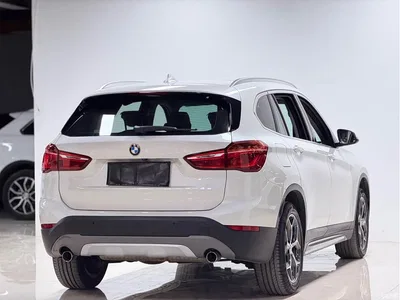 2018 BMW X1 xDrive20Li Premium Model, фото 4, лот 10466681
