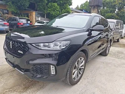 2018 WEY VV6 2.0T 4WD Flagship China V, фото 1, лот 10894970