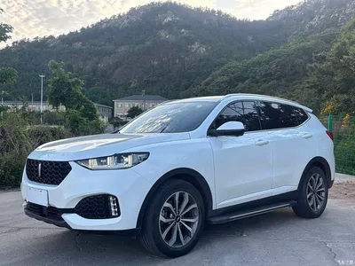 2019 WEY VV6 2.0T 2WD Flagship China VI, фото 1, лот 10452230