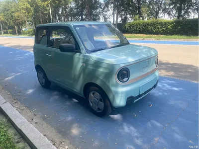 2024 Geely Galaxy Panda mini 200km Endurance Bear, фото 3, лот 10430876