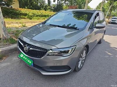 2019 Buick GL6 18T 6-seat Connected Luxury China VI, фото 2, лот 10269488