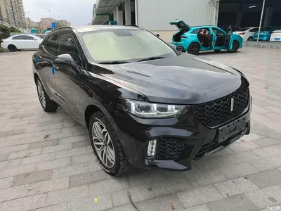 2017 WEY VV5 2.0T Super Luxury Model, фото 3, лот 10826228