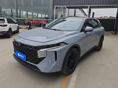 2023 Venucia Big V 260T Idol Edition Pro, фото 1, лот 11144574