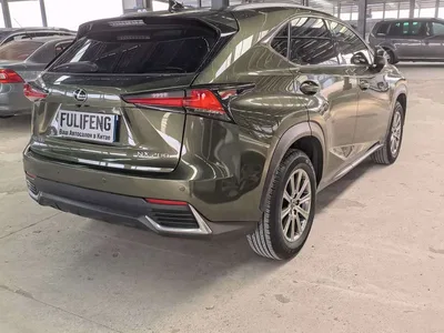 2020 Lexus NX 200 AWD F Sport China VI, фото 4, лот 10311378