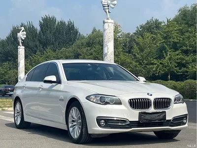 2017 BMW 5 Series 525Li Luxury Design Package, фото 3, лот 11490001