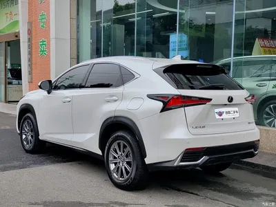 2020 Lexus NX 200 FWD Sharp Edition China VI, фото 4, лот 10312224