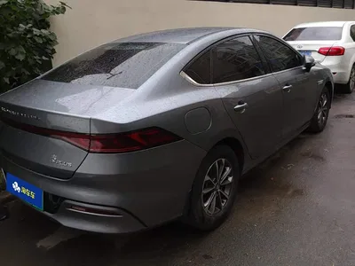 2023 BYD Qin PLUS Champion Edition DM-i 55KM Leading, фото 3, лот 11202686