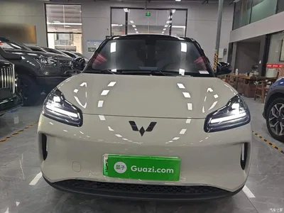 2024 Wuling Motors Wuling Binguo PLUS Model 330km 5-Seater, фото 3, лот 11196388