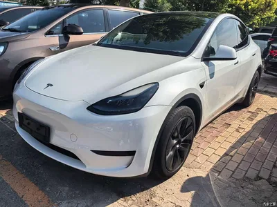 2024 Tesla Model Y Rear-Wheel Drive Version, фото 1, лот 10399063