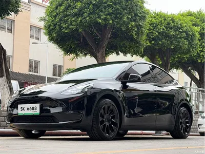 2022 Tesla Model Y Facelift Long Range All-Wheel Drive Version, фото 1, лот 10450779