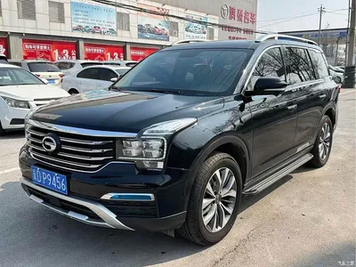 2017 GAC Trumpchi Trumpchi GS8 320T 2WD Luxury Smart Connect (7-seater), фото 1, лот 10415303