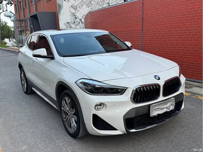 2019 BMW X2 (Import) sDrive25i Leading M Off-Road Package China VI, фото 3, лот 10475567