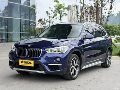 2018 BMW X1 New Energy xDrive25Le Luxury Model, фото 1, лот 10432503