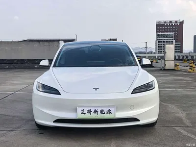 2023 Tesla Model 3 Long Range All-Wheel Drive, фото 2, лот 10406633