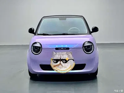 2023 Changan Qiyuan Changan Lumin Model 205km Fragrant Edition, фото 2, лот 10411534