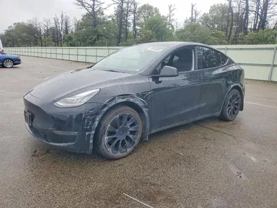 2021 TESLA MODEL Y, фото 1, лот 11238959