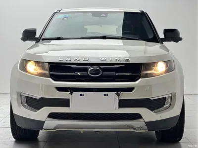 2015 Landwind X7 2.0T Panorama Premium, фото 2, лот 10445075
