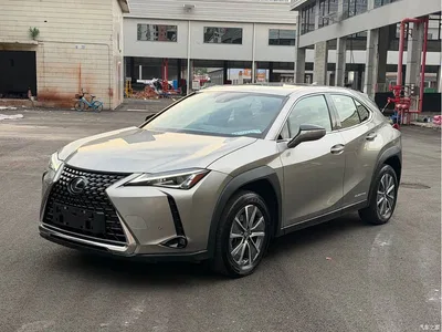 2020 Lexus UX Electric 300e Pure Yue Edition, фото 1, лот 11476145