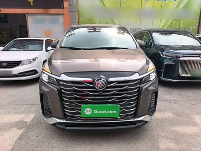 2023 Buick GL8 Facelift Land Business Class Luxury, фото 3, лот 10262055