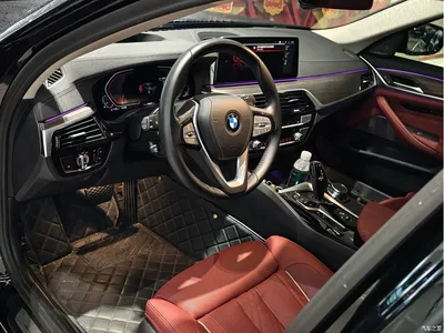 2023 BMW 5 Series Facelift 530Li Premium Luxury Package, фото 2, лот 11547744