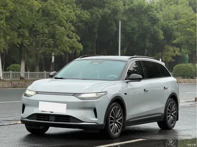 2021 Leapmotor C11 Luxury Edition, фото 1, лот 11243305