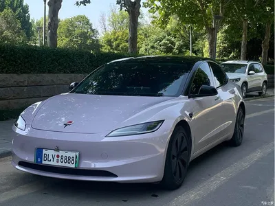 2023 Tesla Model 3 Rear-Wheel Drive, фото 1, лот 10352477