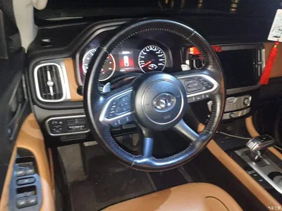 2021 Great Wall Pao 2.0T Passenger Global Edition Automatic Gasoline 4WD Sport Standard Box GW4C20B, фото 3, лот 10248886